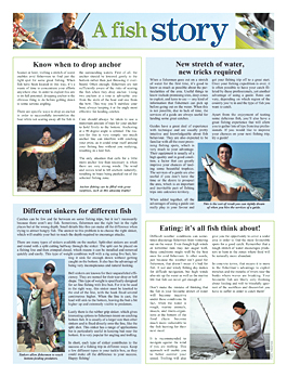 Newspaper Toolbox editorial library example 06