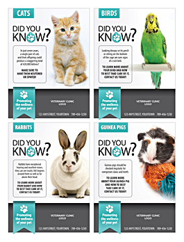 Newspaper Toolbox ready to sell advertising templates example 01