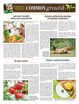 Newspaper Toolbox special section example 12